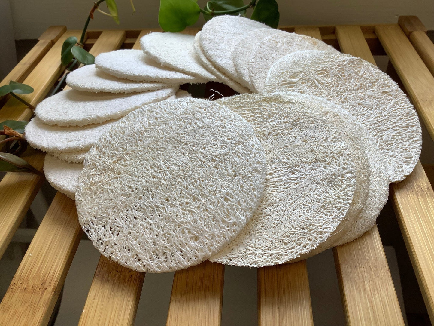Loofah facial disc - CakeFaceSoaping