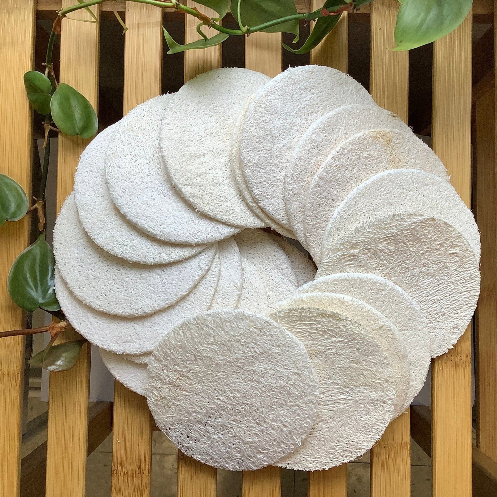 Loofah facial disc - CakeFaceSoaping