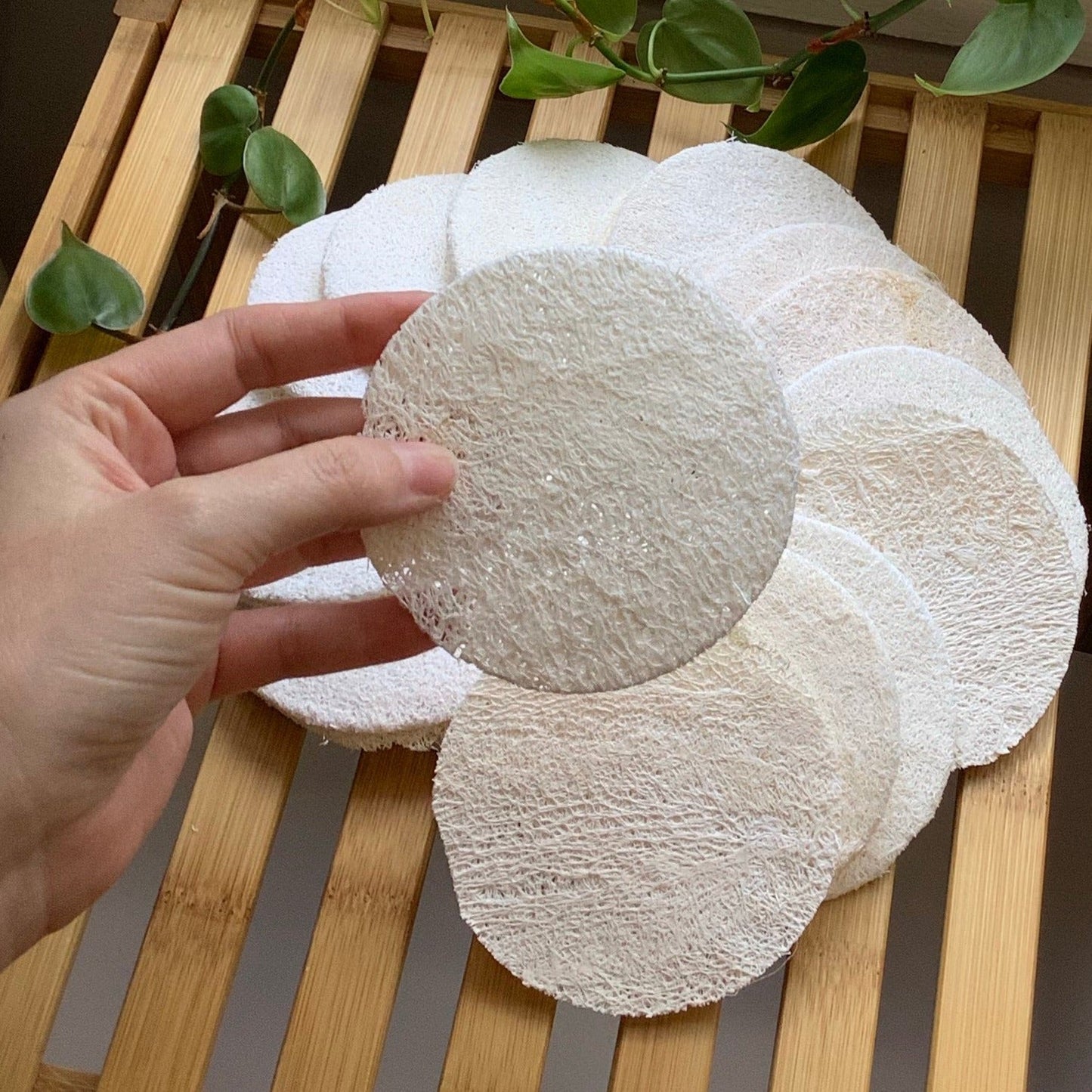 Loofah facial disc - CakeFaceSoaping