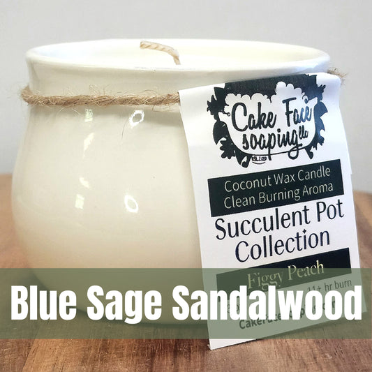 Blue Sage + Sandalwood Succulent Pot Safe Fragrance Oil Coconut Wax 3 oz Candle