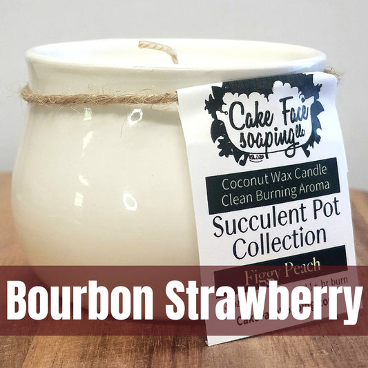 Bourbon Strawberry Succulent Pot Safe Fragrance Oil Coconut Wax 3 oz Candle
