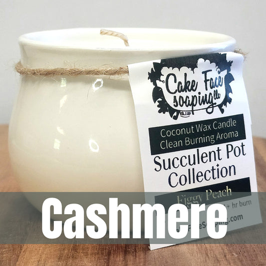 Cashmere Succulent Pot Safe Fragrance Oil Coconut Wax 3 oz Candle