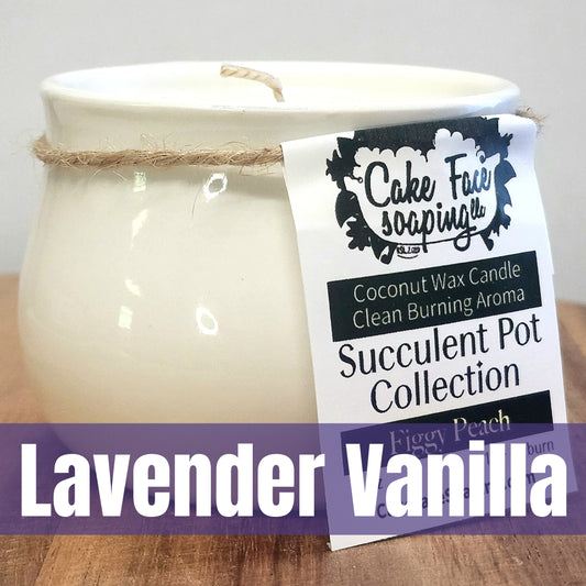 Lavender Vanilla Succulent Pot Safe Fragrance Oil Coconut Wax 3 oz Candle