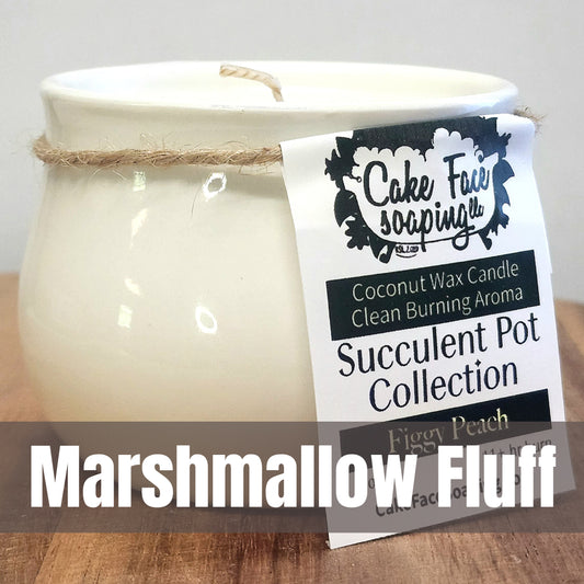 Marshmallow Fluff Weather Succulent Pot Safe Fragrance Oil Coconut Wax 3 oz Candle