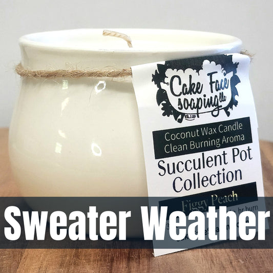 Sweater Weather Succulent Pot Safe Fragrance Oil Coconut Wax 3 oz Candle