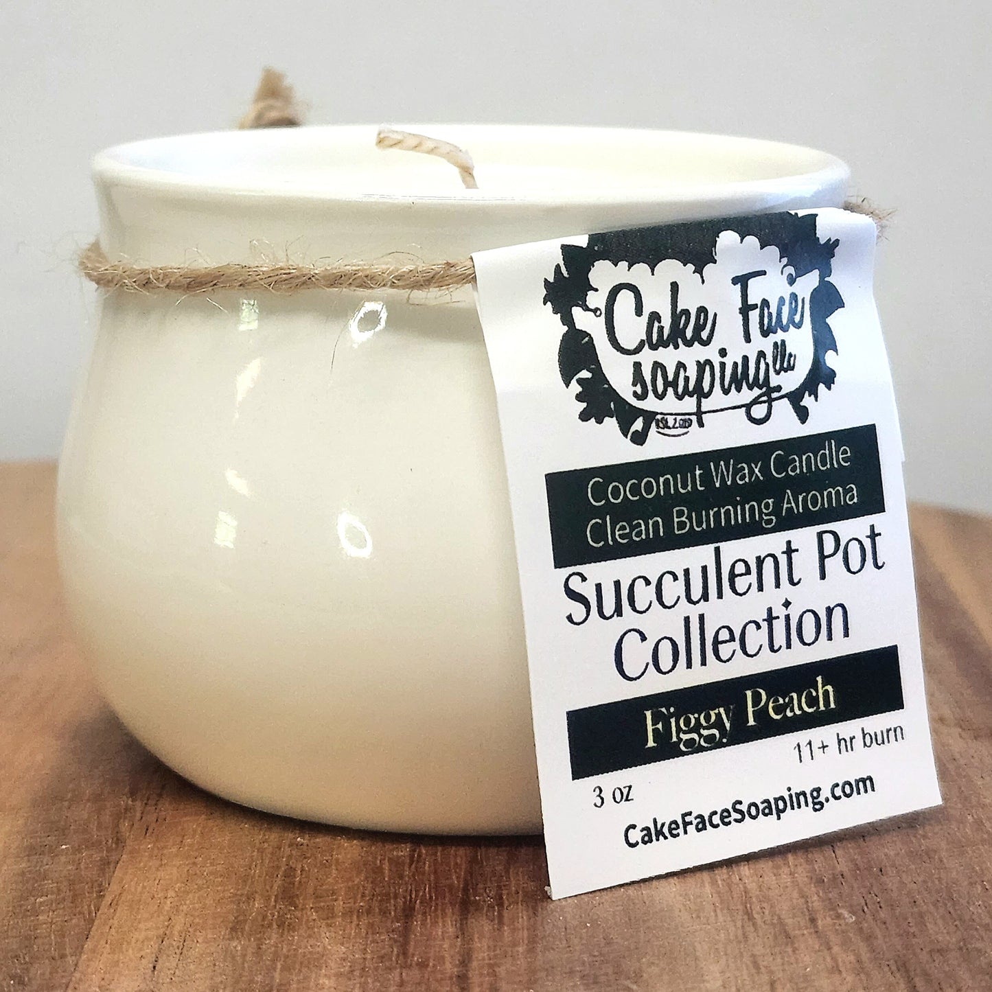 Figgy Peach Succulent Pot Safe Fragrance Oil Coconut Wax 3 oz Candle